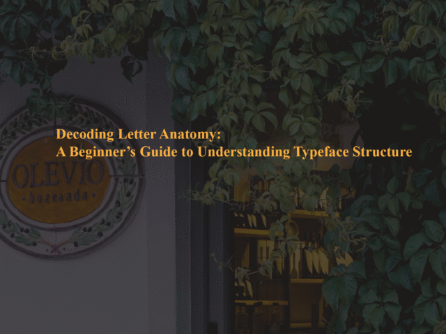 Decoding Letter Anatomy: A Beginner’s Guide to Understanding Typeface Structure
